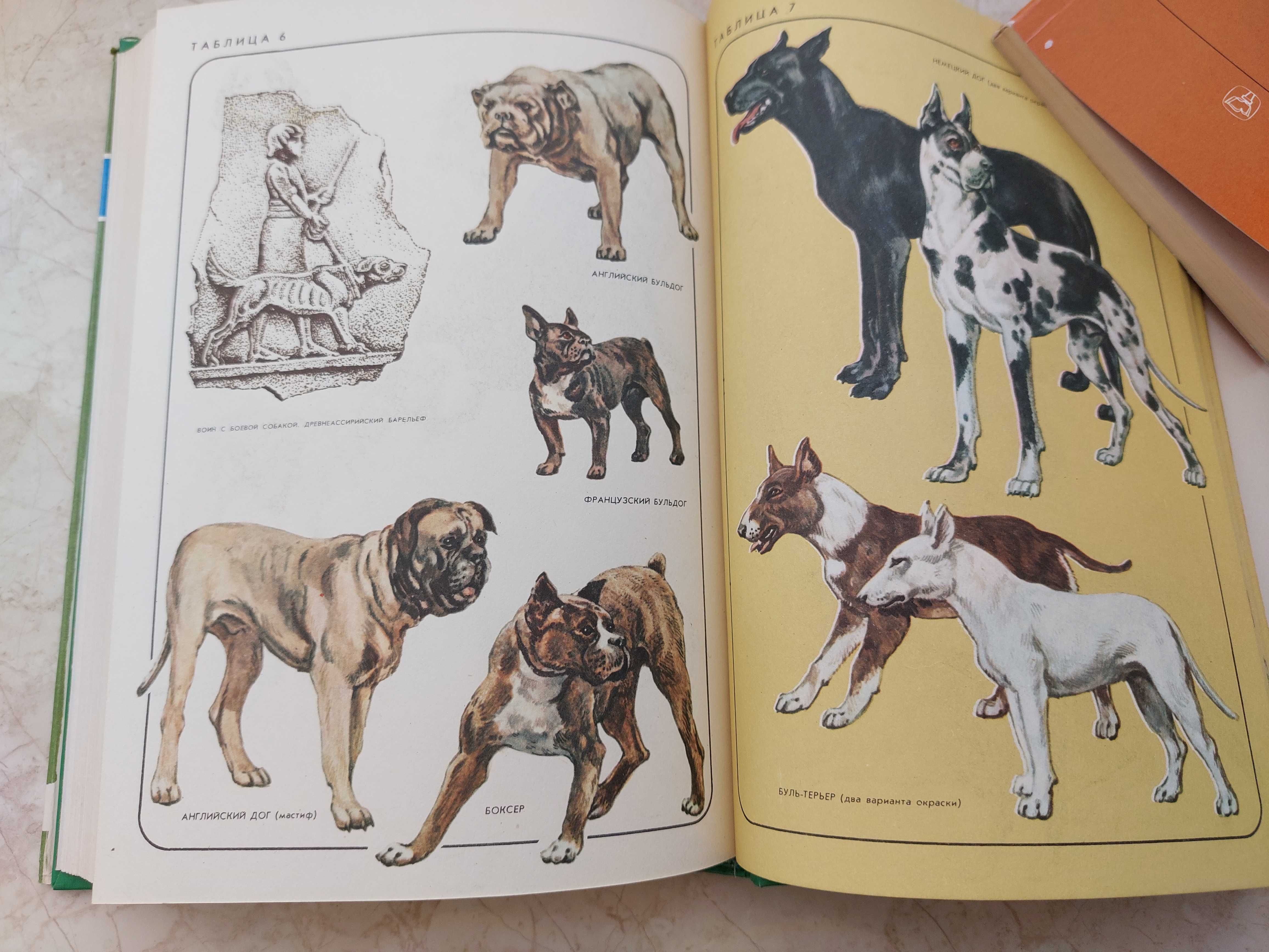 Книги: Удивительное в мире животных, Сладков Н., Дмитриев Ю. для детей