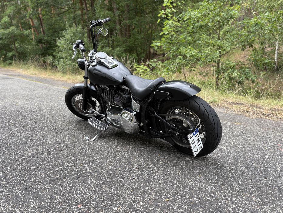 Harley Davidson softail custom