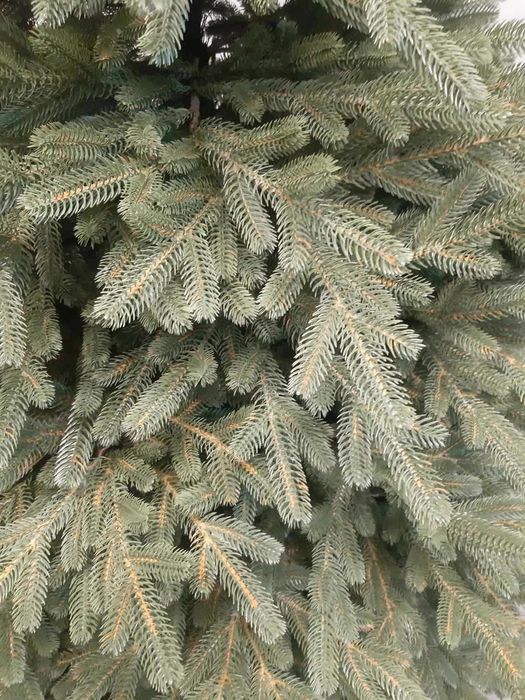 Ялинка лита Європейська  штучна, новорічна, Смерека