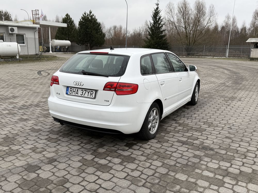 Audi A3 8P, 1.6 tdi 2010 rok