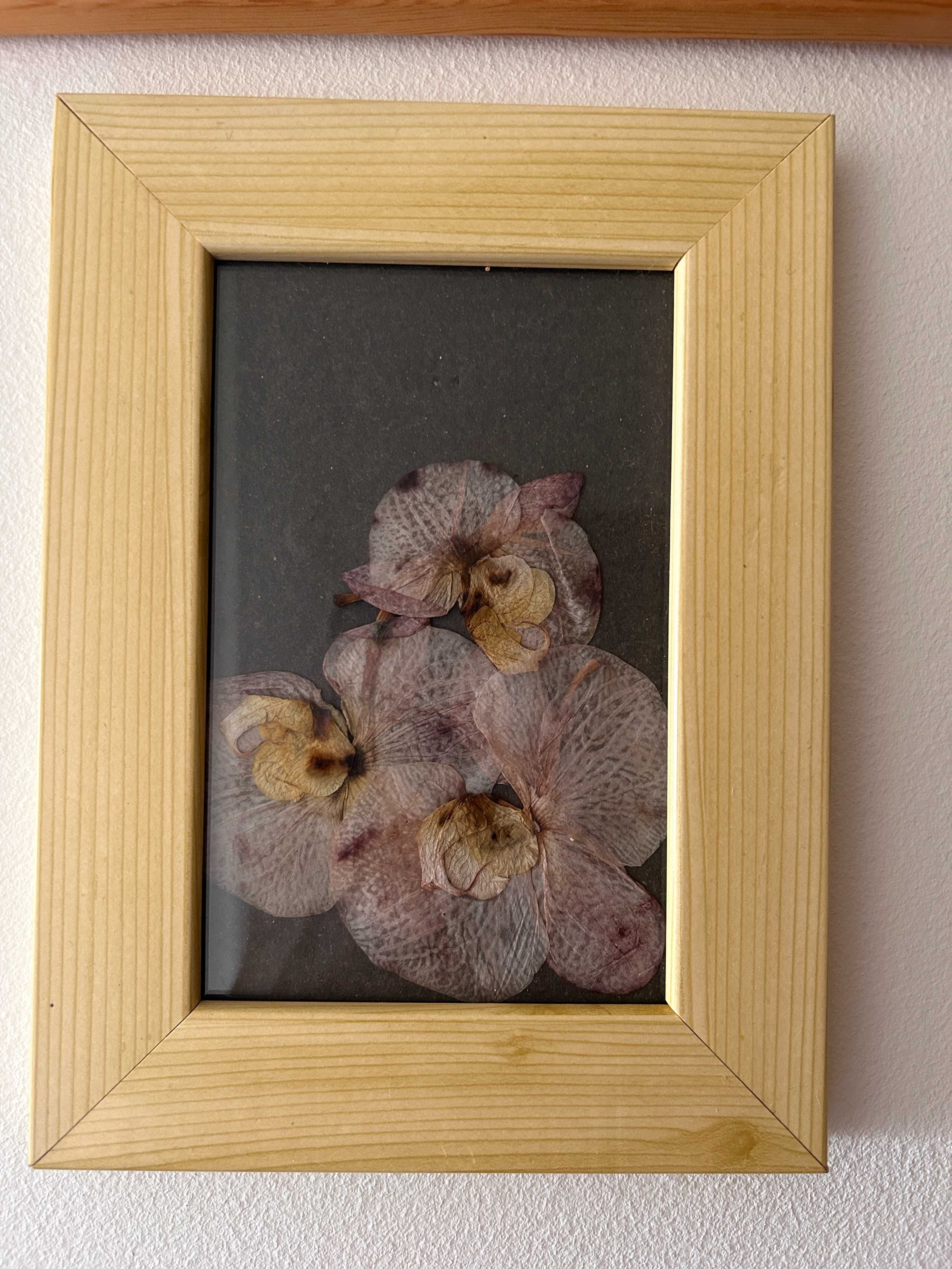 Quadro/ moldura com folhas de orquidea