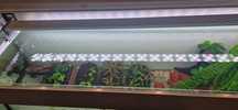 Belka led do akwarium Chichirios 120cm