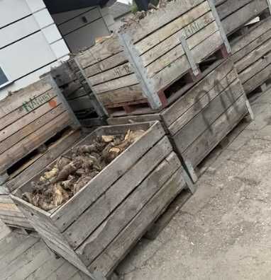 Drewno jabłonkowe pocięte karpy skrzyniopaleta 160zł na opał
