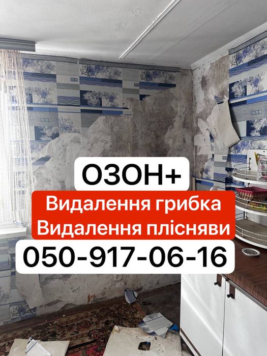 ‼️Удаление грибка - удаление плесени , Озонирование грибка , плесени