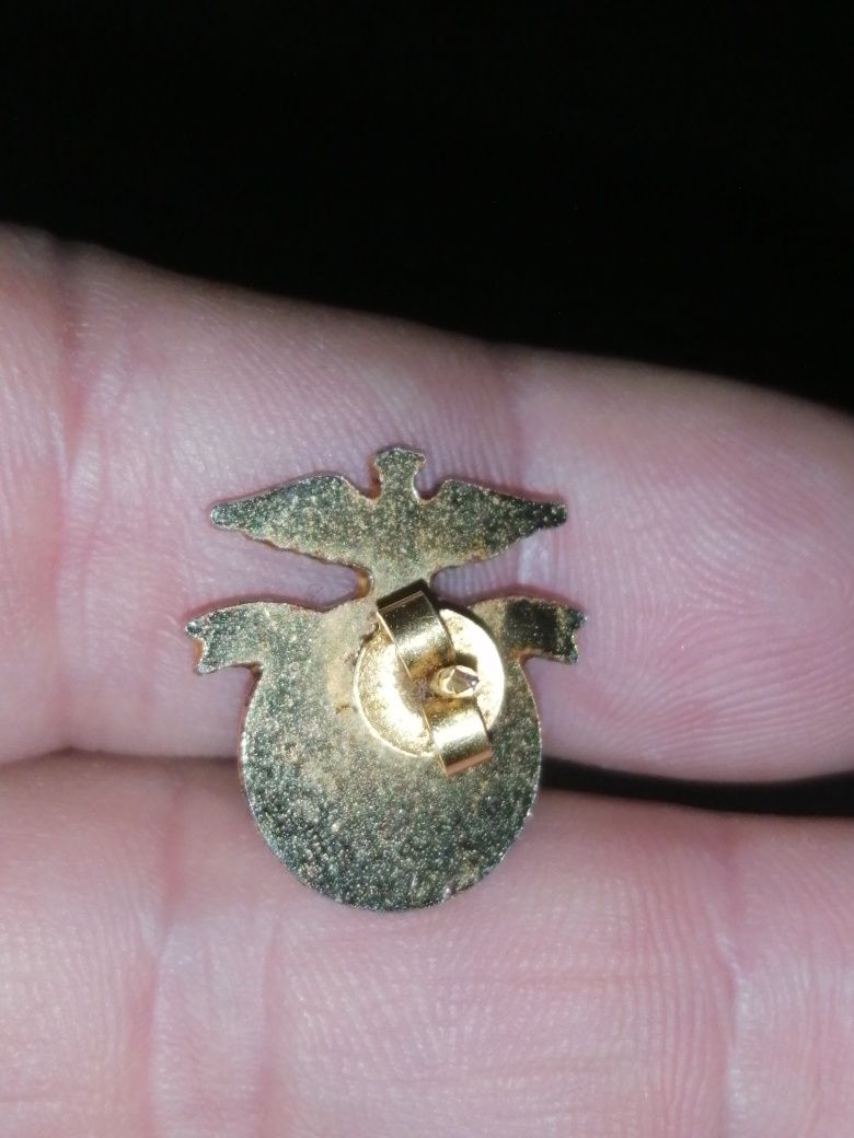 Pin do S L Benfica para amantes deste grande clube europeu