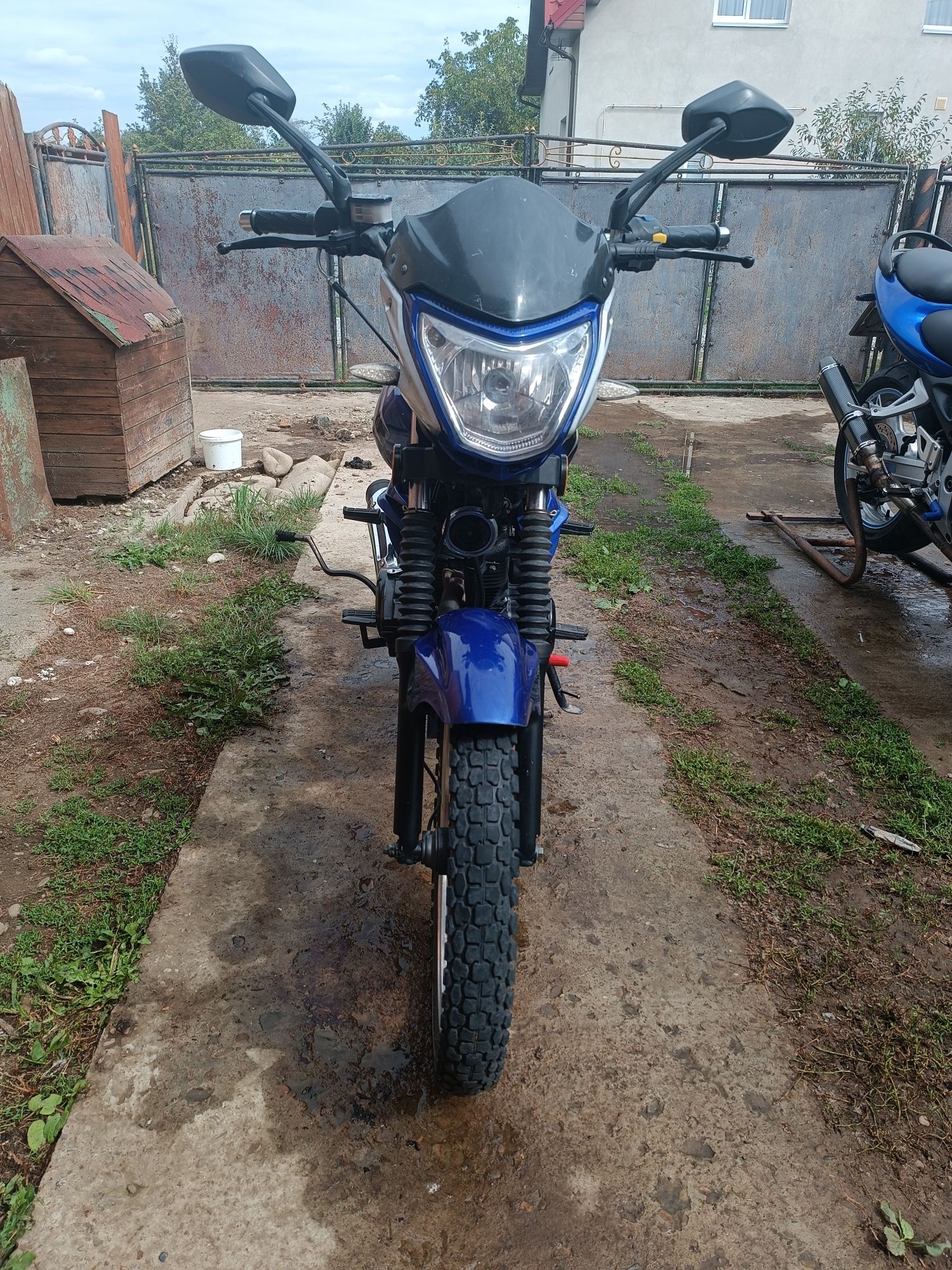 Продам мустанг 150