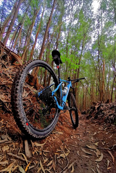 Bicicleta de Montanha Rockrider XC 500 / Pneus/Cassete/Correte, Novos