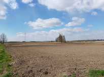 Działka rolna Piotrowice gmina warta 3.08ha
