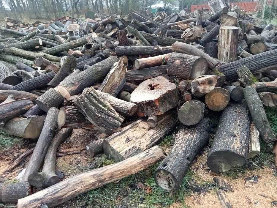 Drewno opałowe opał kominek kominkowe iglaste liściaste