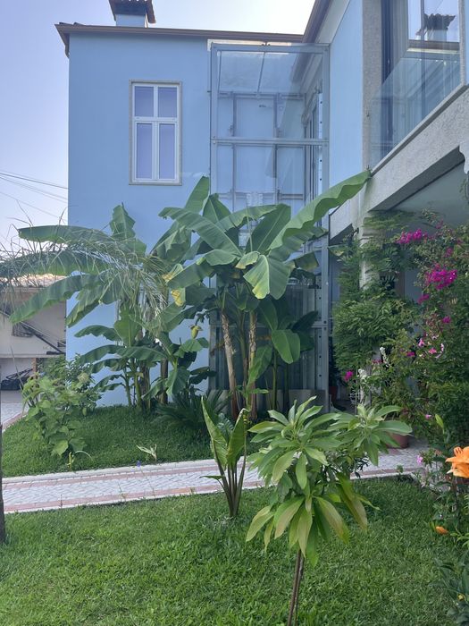 Oportunidade de investimento!