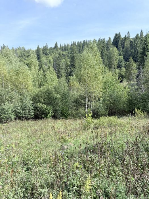 Земельна ділянка Славсько