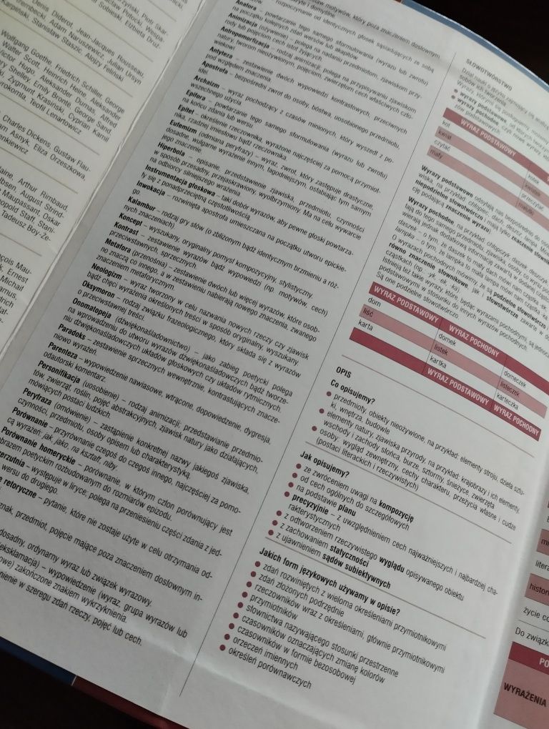 Język polski vademecum gimnazjum szkoła podstawowa Operon