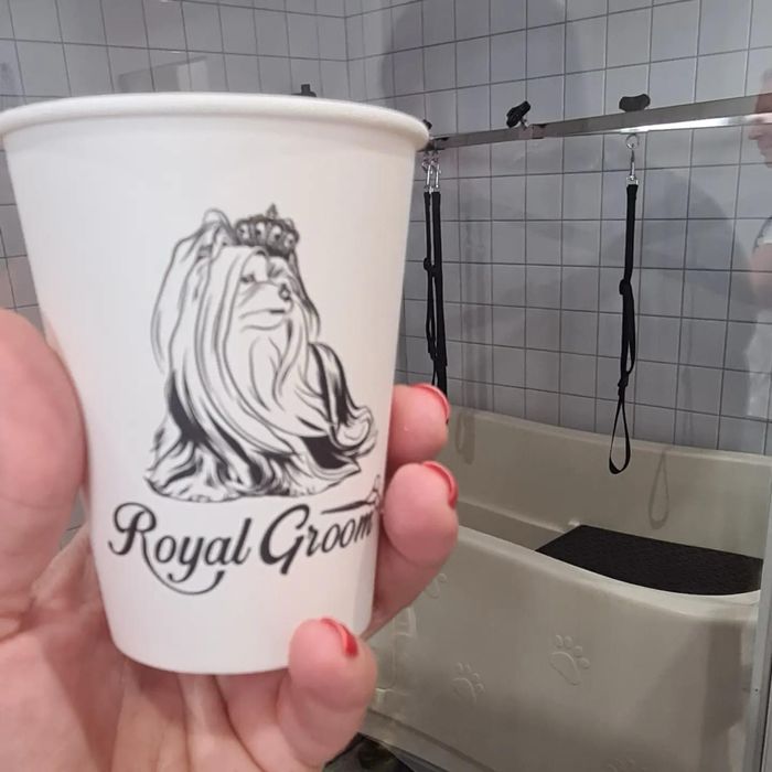 Стрижка тварин. Собак і котиків. Креатив.