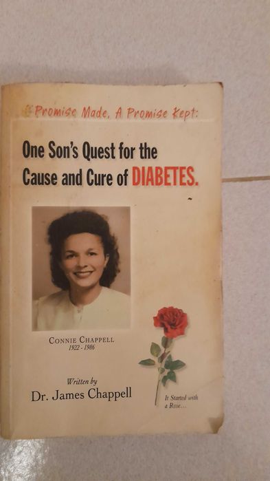 Livro Ingles Sons Quest Cure Diabetes Capa Mole