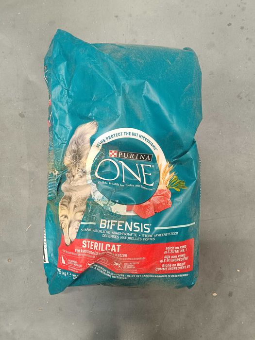 Sucha karma dla kota