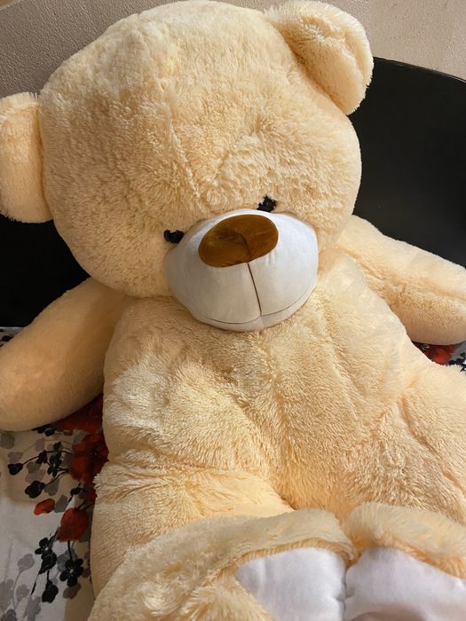 Ведмідь - чудовий подарунок для будь-якого віку