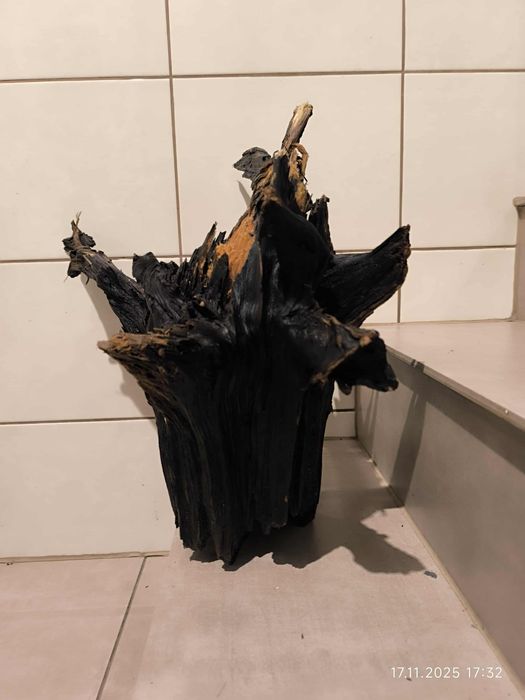 Sprzedam korzeń do akwarium