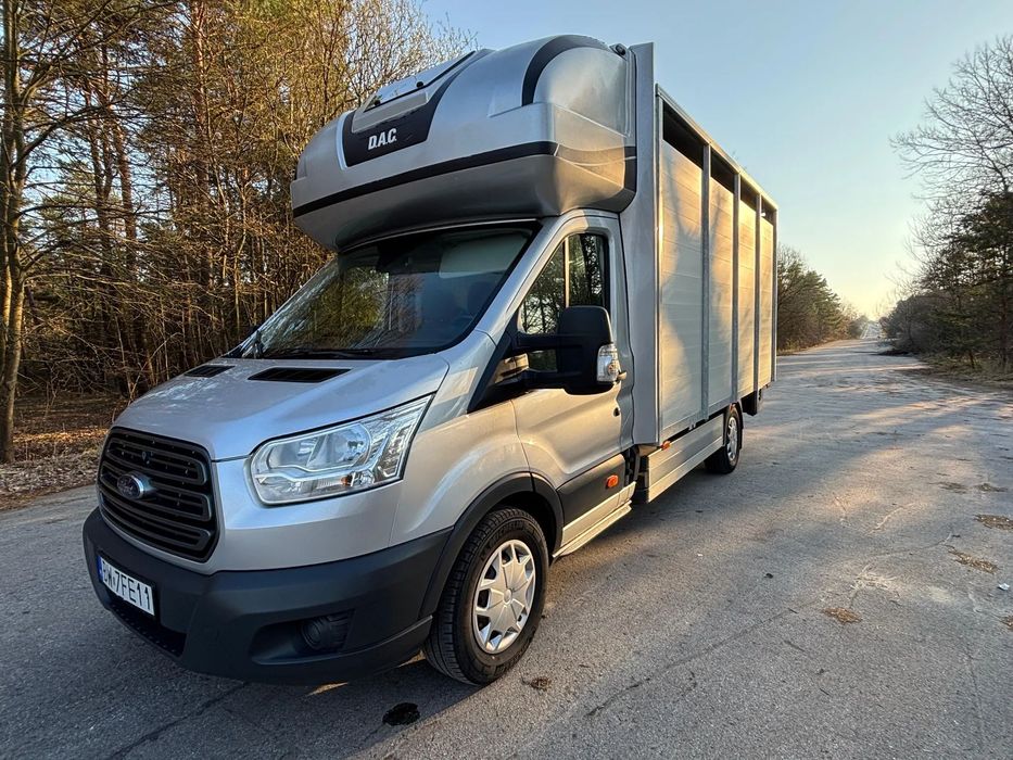 Ford Transit  DO żywca / zwierząt / bydła / trzody chlewnej
