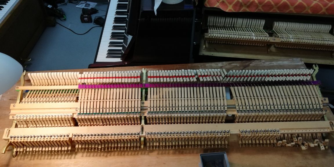 Stroiciel-Strojenie pianin i fortepianów, regulacja-intonacja-naprawy