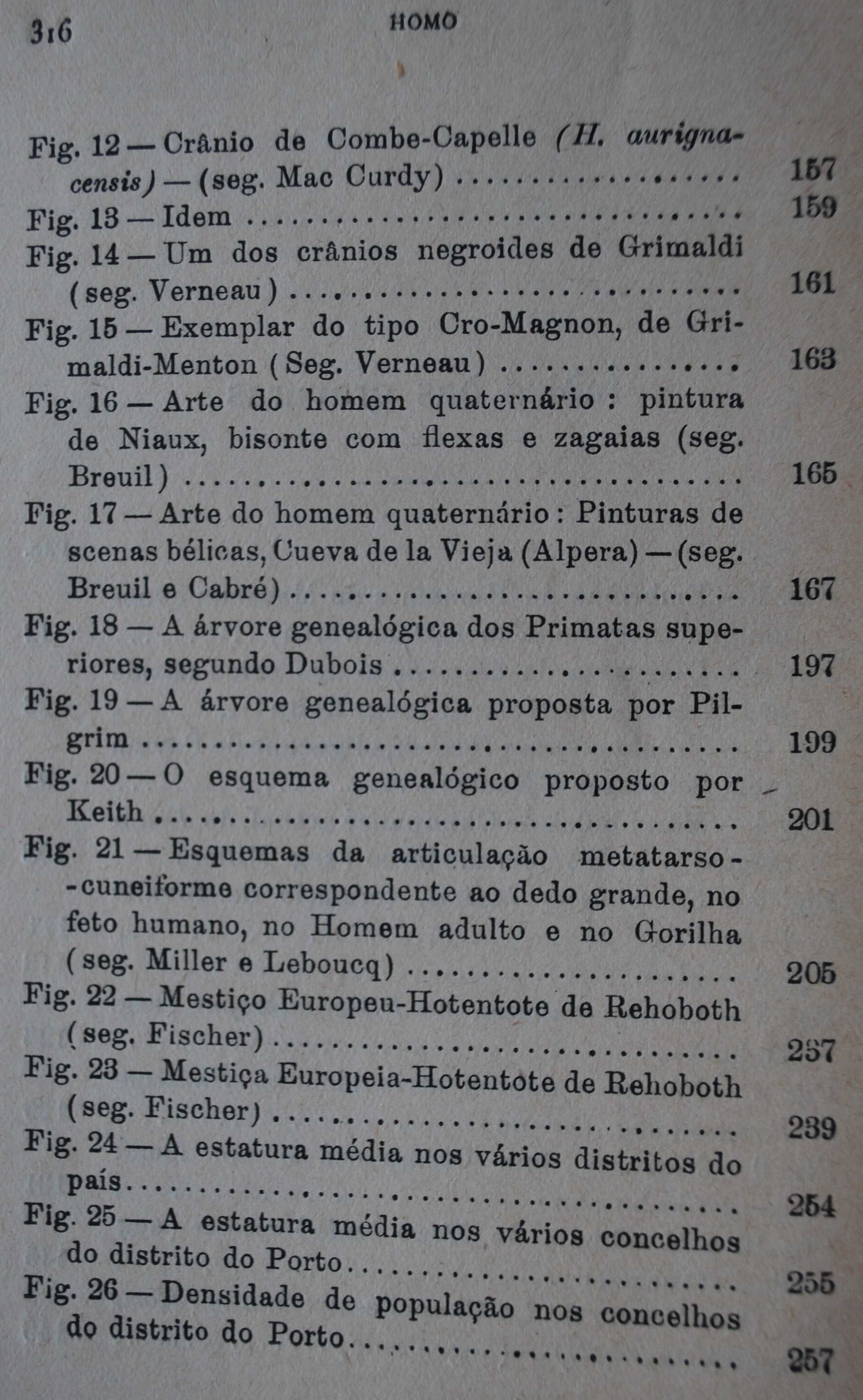 Homo (Os Modernos Estudos Sobre A Origem do Homem) - 1º Edição 1921