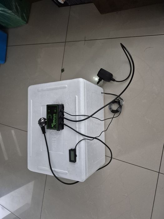 Inkubator do jaj wlasnoreczny styrobox
