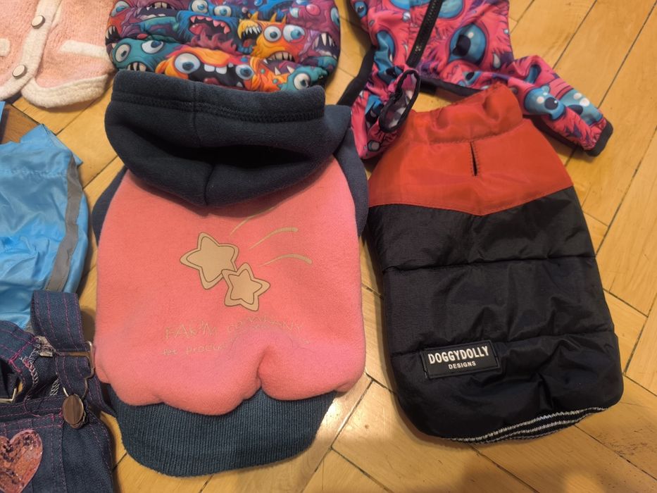 Одежда,переноска, аксессуары xs