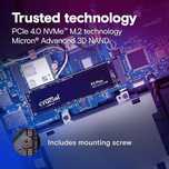 SSD Crucial M.2 NVME 1TB P3 Plus (CT1000P3PSSD8) OEM