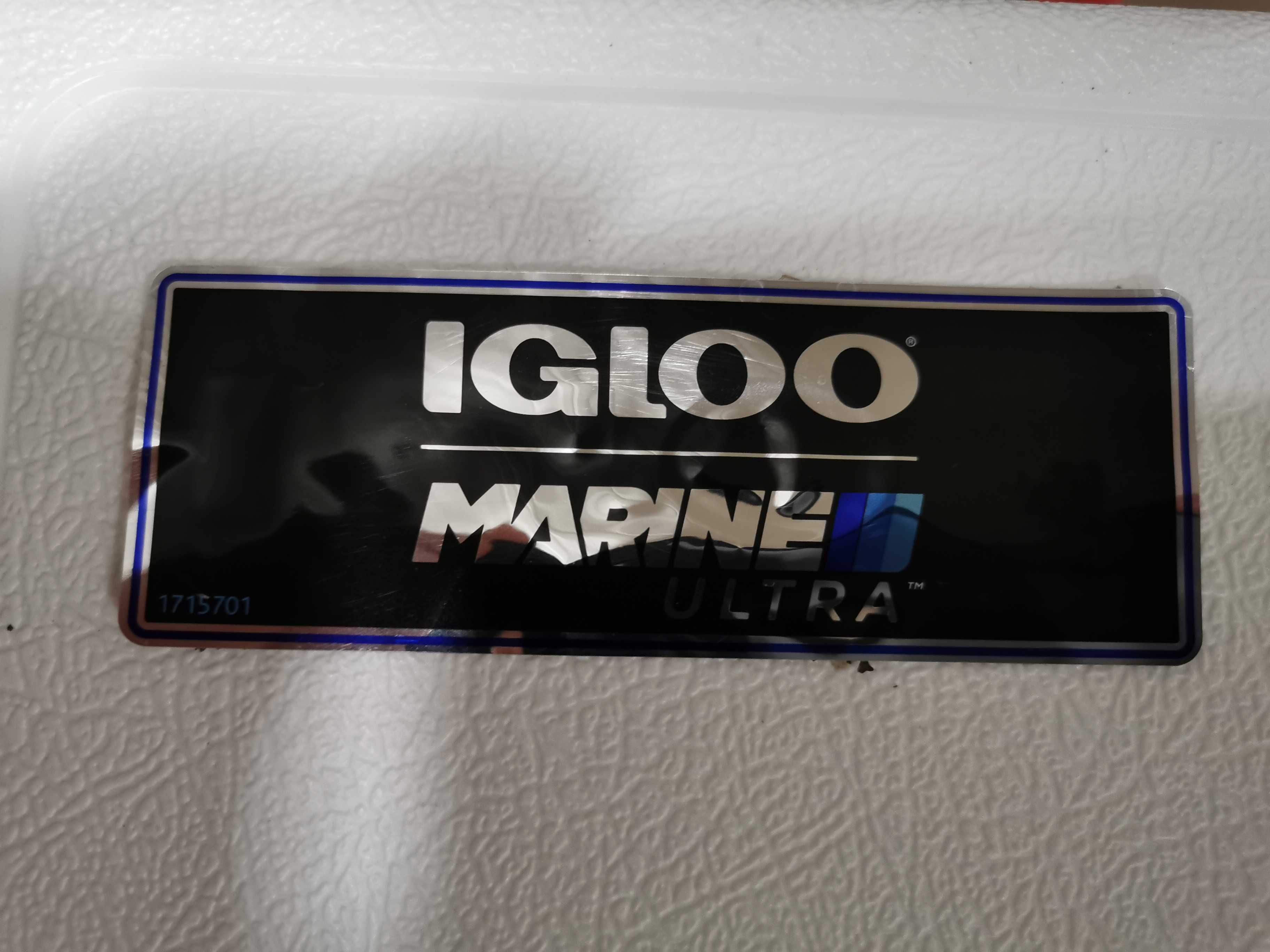 Sztywna przenośna chłodziarka cooler lodówka  IGLOOO MARINE 51 L