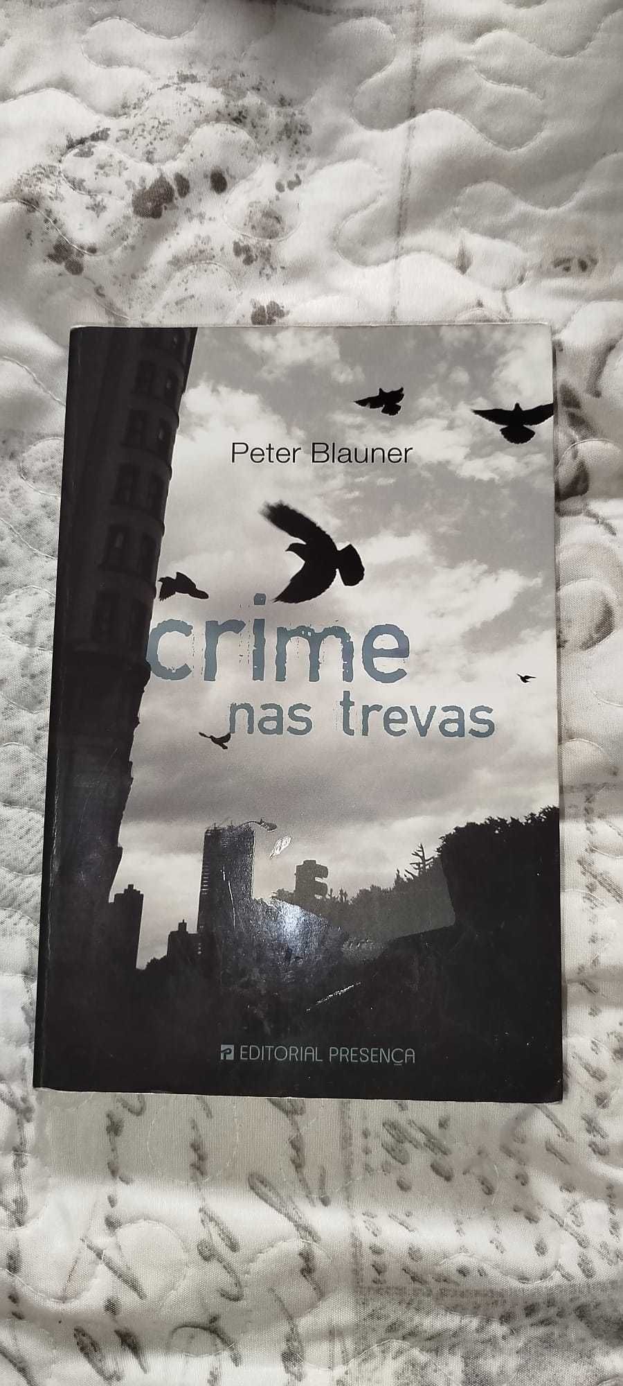 Livro "Crime nas trevas" - Peter Blauner