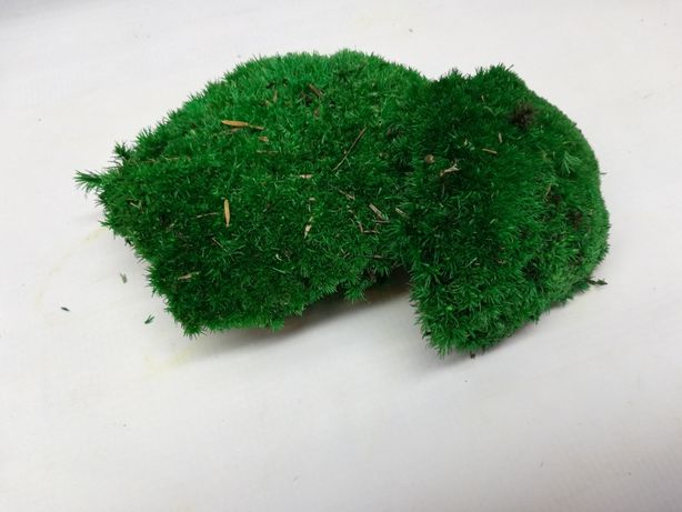 Mech poduszkowy 1 szt ciemna zieleń 20g terrarium Kurier Wysyłka