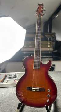 Washburn SBF-80 + Case