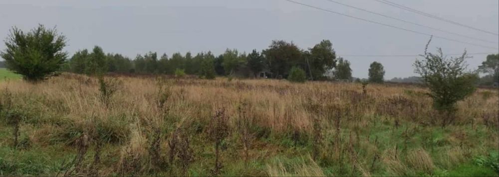 Sprzedam ziemie 4.20 ha 3.48 ha klasa IV i 0,72 ha klasy V i nieużytki