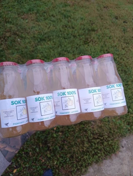 Pigwiwiec Japoński  SOK 100%- Bez cukru i konserwantów