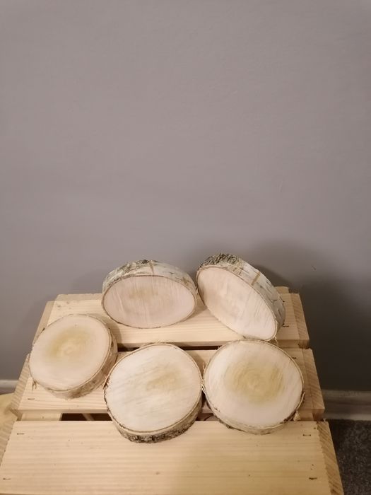 Plastry brzozy 8-10 cm 5 szt