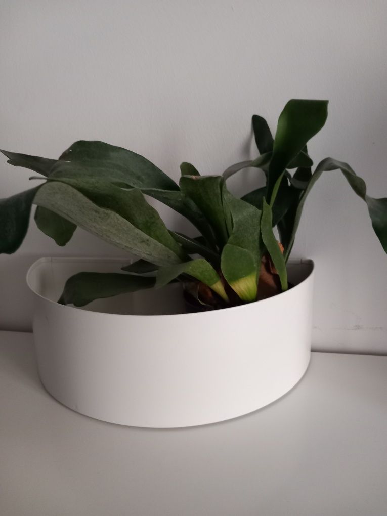 Hastbona Ikea osłonka metalowa do powieszenia.