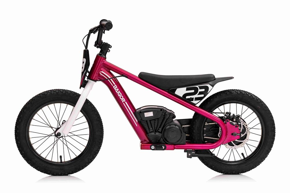 max 60kg 250w Motor  na akumulator elektryczny BAIGOR 23 PRO