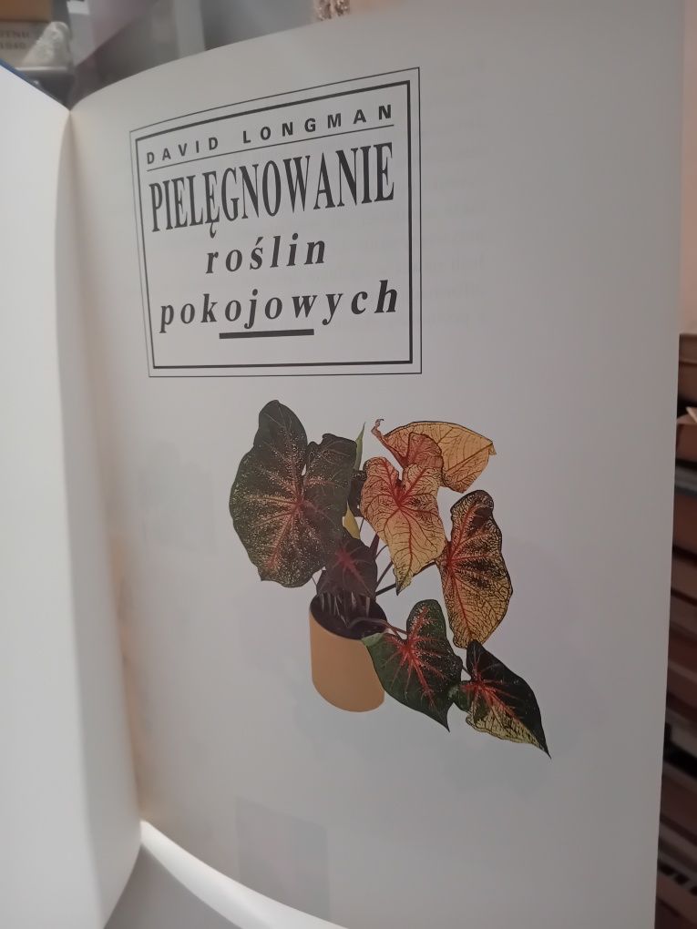 David Longman Pielęgnowanie roślin pokojowych