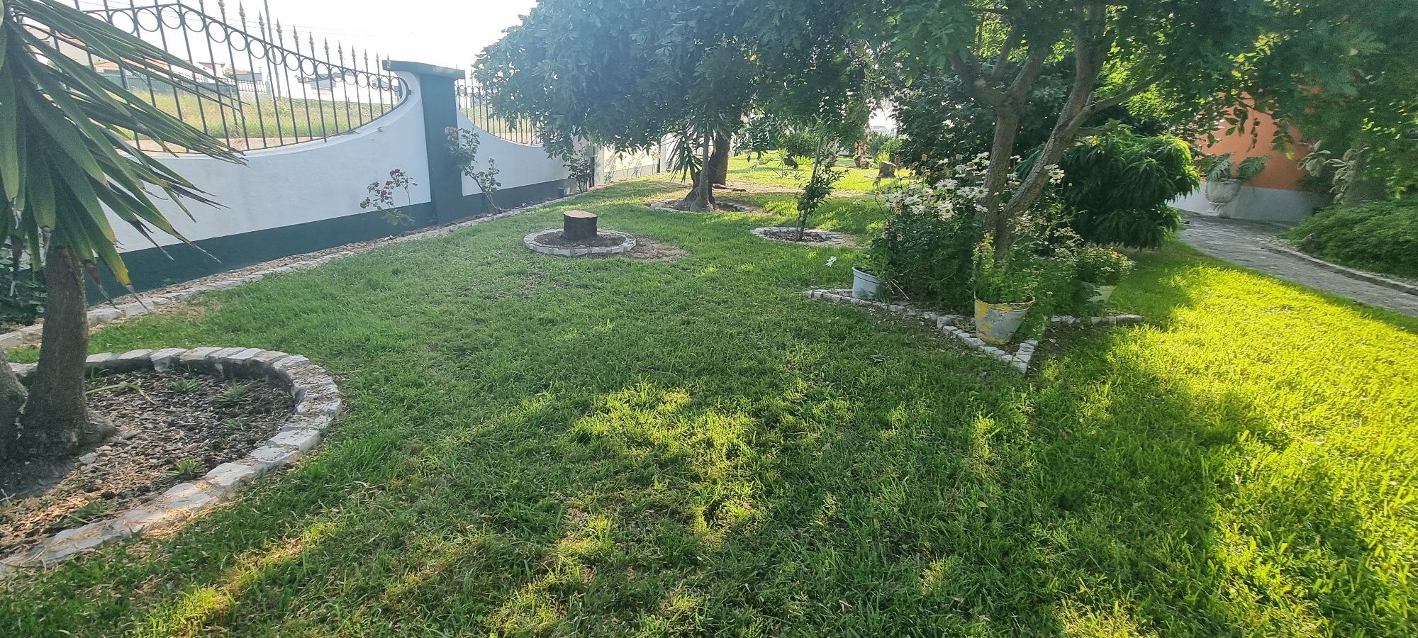 Limpeza de jardins e abate de árvores