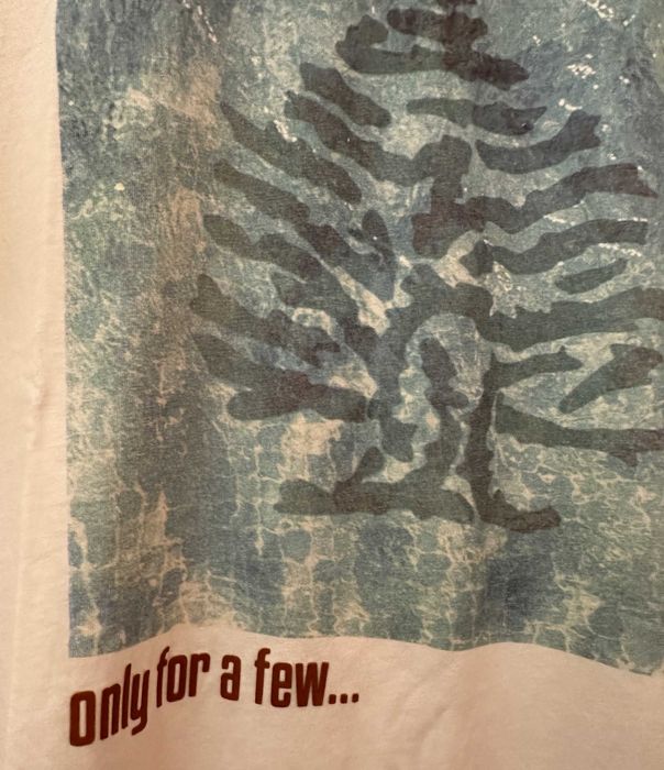 T-Shirt Springfield Icon Edition