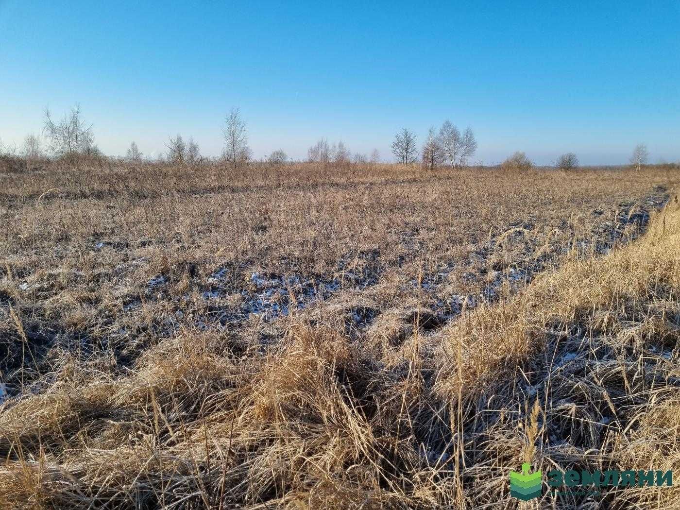 Продаж земельної ділянки 12 сот під будівництво с.Колодіївка