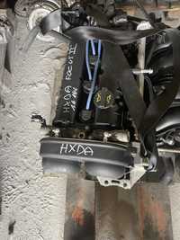 Silnik /Ford/Focus 2/ C-Max/ 1.6 16v /HXDA /kompletny