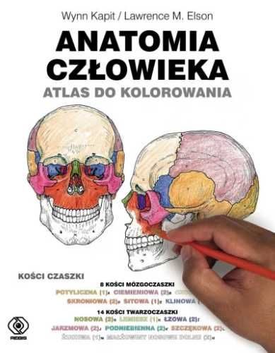 Anatomia człowieka. Atlas do kolorowania - Wynn Kapit, Lawrence M. El