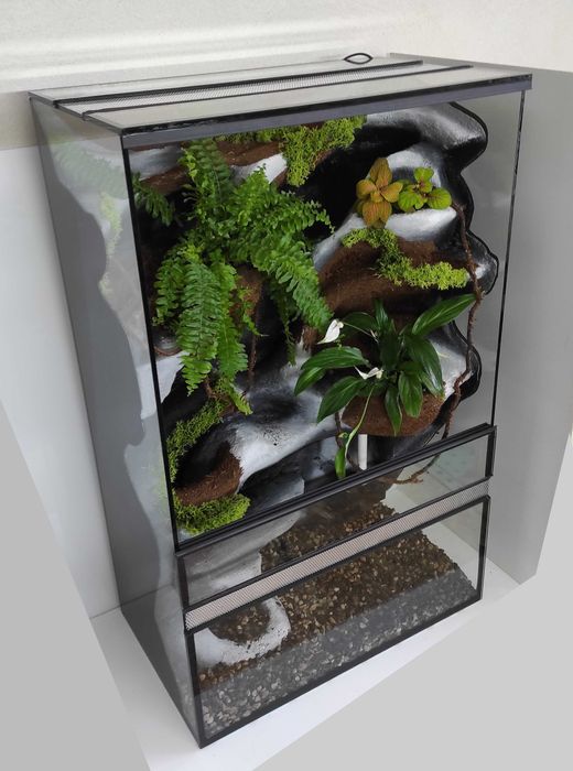 Paludarium dla jaszczurki, orzęska, felsumy, TW12KTW, AquaWaves