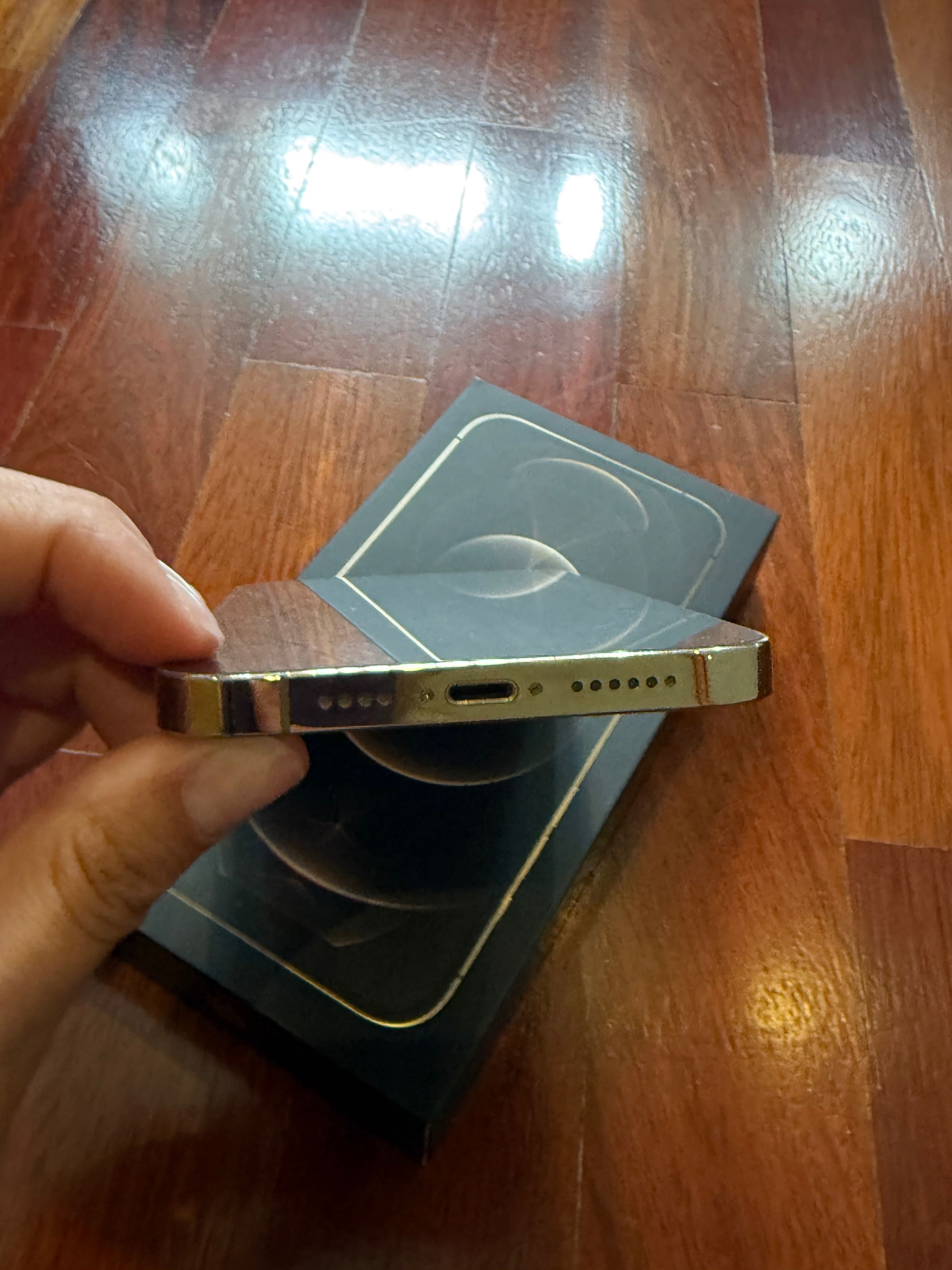iPhone 12 Pro Max 256gb + Capas