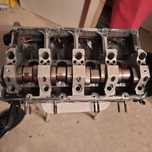 Cabeça de Leon 150cv