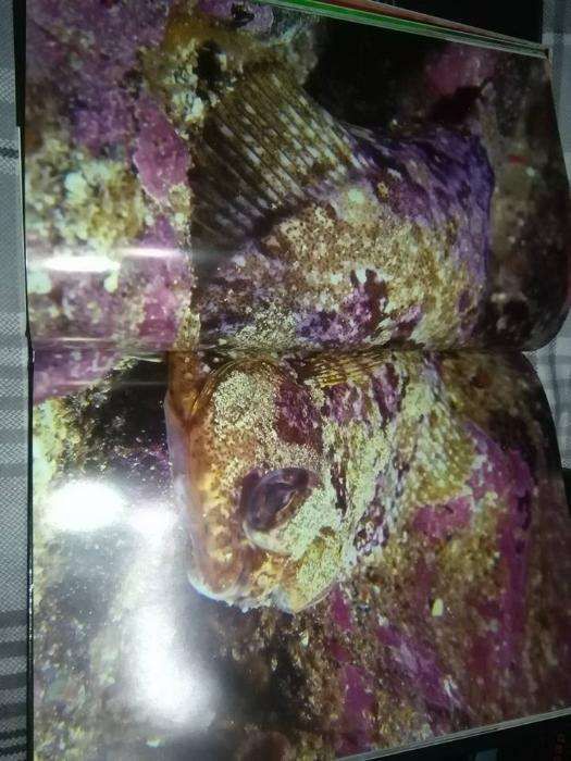 6 livros da Natureza selvagem