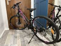 Genesis Speed Cross SX Pro 28 2023