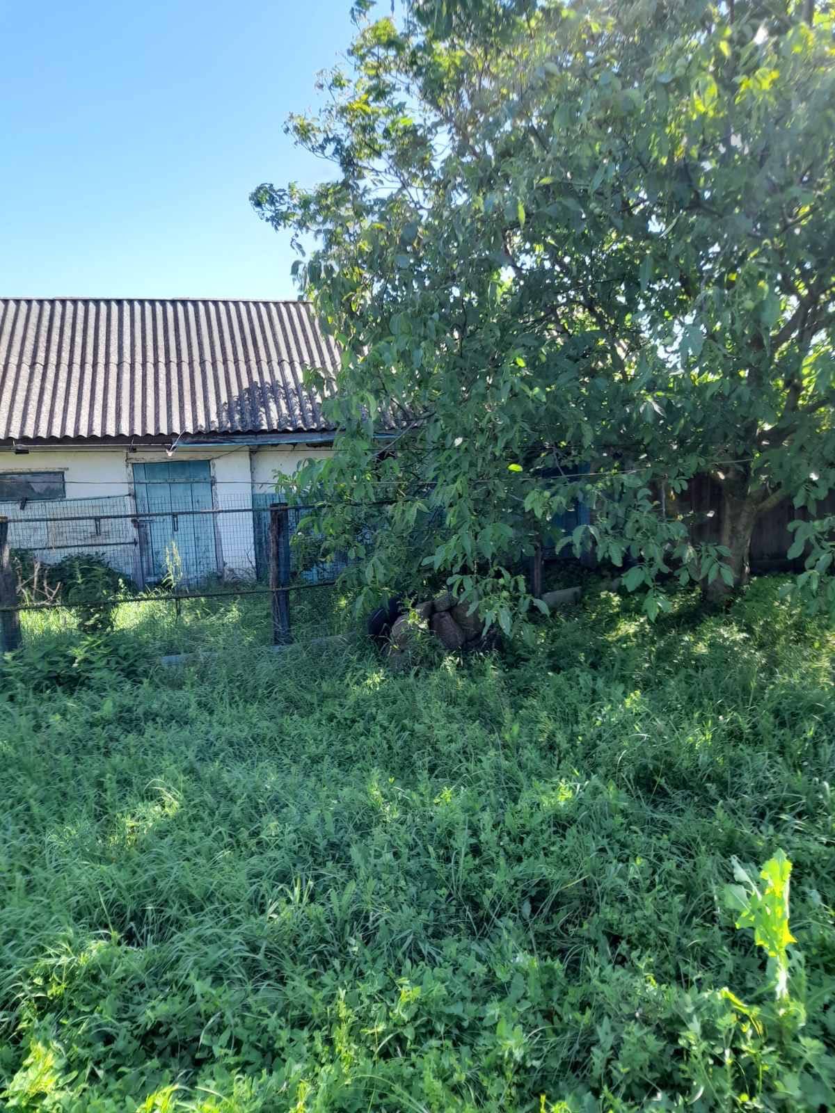 Продається житловий будинок в гарному стані