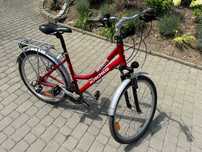 Rower Kross Tempo Andante 19 cali