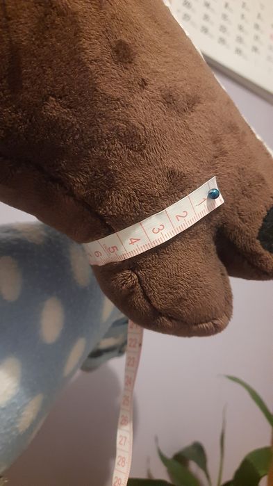 niebieski kantar dla hobby horse na zamówienie